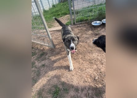 Emma sucht ihre Familie