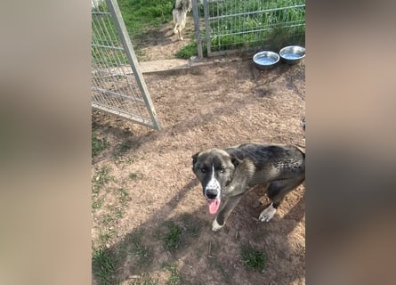 Emma sucht ihre Familie