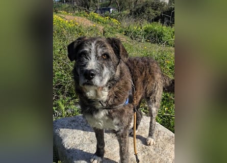 Luke: beeindruckt mit Ruhe und Gelassenheit