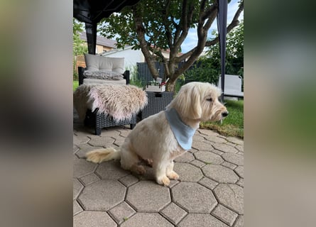 Winnie kann im Schwarzwald besucht werden
