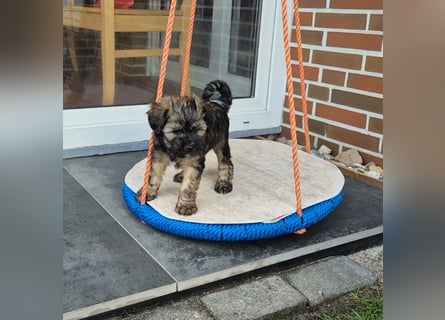 Unsere Fröhliche Bande sucht ein neues Zuhause