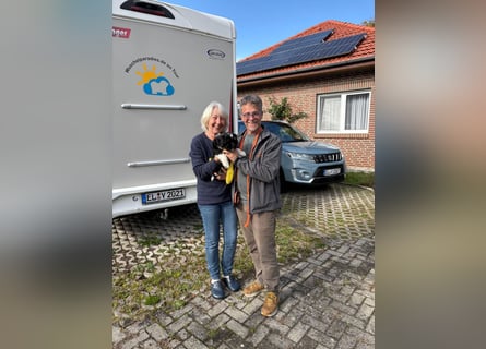 Unsere Fröhliche Bande sucht ein neues Zuhause
