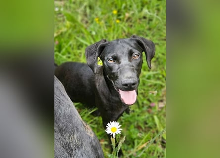Anny & Nana vom Gnadenhof in den Bergen von Nordmazedonien