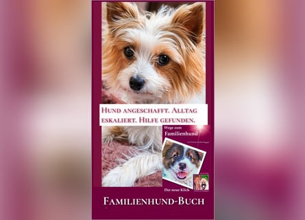 Welpe, Hund, Mischling, Rasse - Erziehung zum Familienhund - einfach gemacht