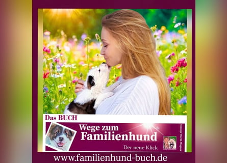 Welpe, Hund, Mischling, Rasse - Erziehung zum Familienhund - einfach gemacht