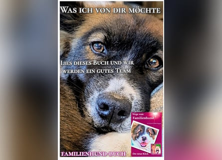 Welpe, Hund, Mischling, Rasse - Erziehung zum Familienhund - einfach gemacht