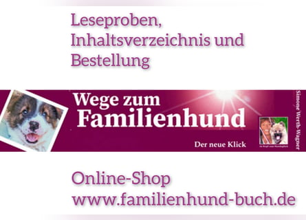 Welpe, Hund, Mischling, Rasse - Erziehung zum Familienhund - einfach gemacht