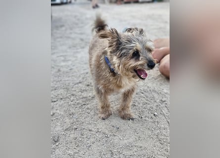 Kiko piccolo - wer bringt seine Augen zum Strahlen