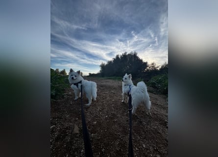 Leo und Poldo: ein Herz und eine Seele