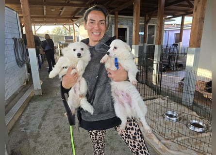 Leo und Poldo: ein Herz und eine Seele