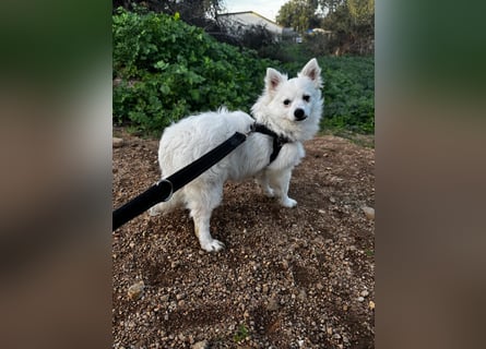 Leo und Poldo: ein Herz und eine Seele