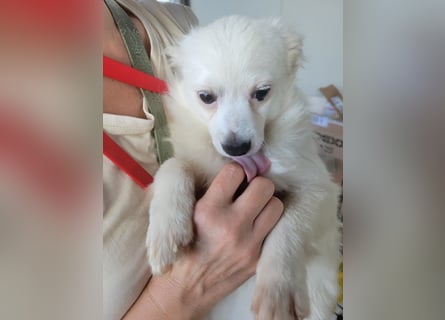 Leo und Poldo: ein Herz und eine Seele