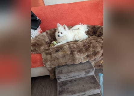 Leo - spielen, schmusen, die Welt entdecken