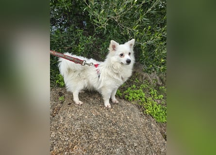 Leo - spielen, schmusen, die Welt entdecken