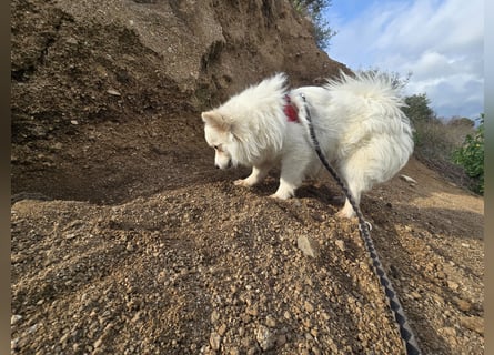 Leo - spielen, schmusen, die Welt entdecken