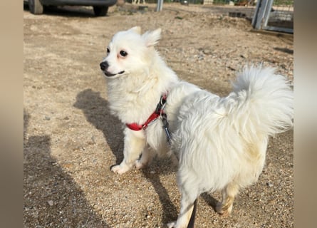 Leo - spielen, schmusen, die Welt entdecken