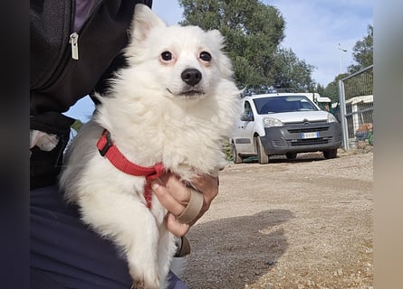 Leo - spielen, schmusen, die Welt entdecken