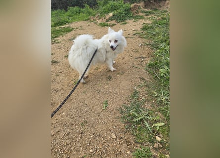 Leo - spielen, schmusen, die Welt entdecken