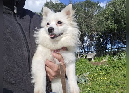 Leo - spielen, schmusen, die Welt entdecken