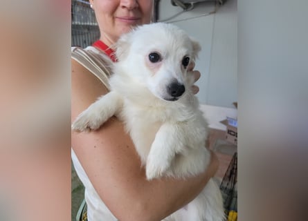 Leo und Poldo: ein Herz und eine Seele Leo und Poldo: ein Herz und eine Seele