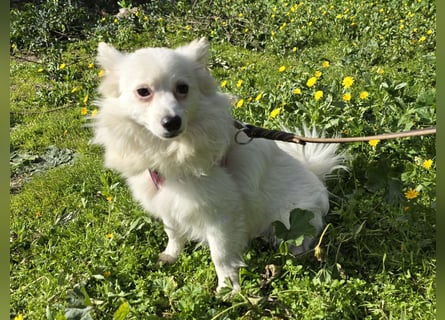 Leo - spielen, schmusen, die Welt entdecken