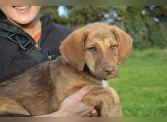 ELISA - so eine süße Zuckerschnute