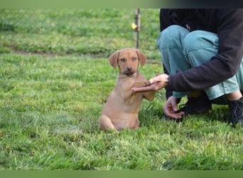 ELIAS - so eine süße Zuckerschnute