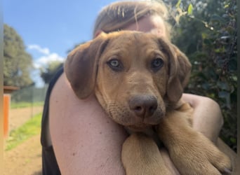 ELIAS - so schöne grüne Augen