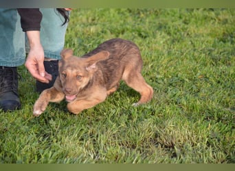 ELISA - so eine süße Zuckerschnute