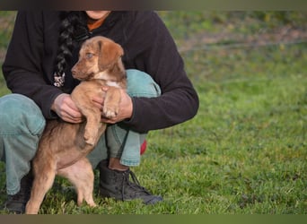 ELISA - so eine süße Zuckerschnute