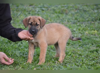 EMMA - so eine süße Zuckerschnute