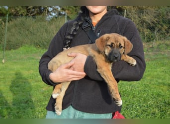 EMMA - so eine süße Zuckerschnute