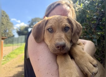 ELIAS - so schöne grüne Augen