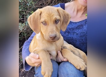 ELIAS - so schöne grüne Augen