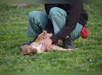 ELISA - so eine süße Zuckerschnute