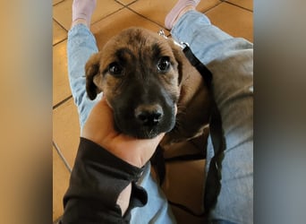 EMMA - so eine süße Zuckerschnute