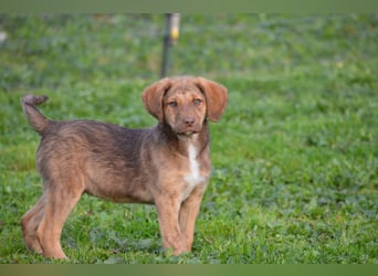 ELISA - so eine süße Zuckerschnute