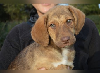 ELISA - so eine süße Zuckerschnute