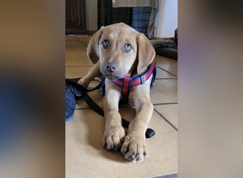 ELIAS - so eine süße Zuckerschnute