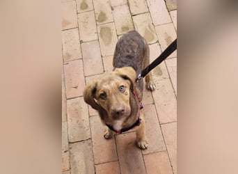 ELISA - so eine süße Zuckerschnute