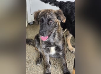 Melody: freut sich aufs Leben in Freiheit