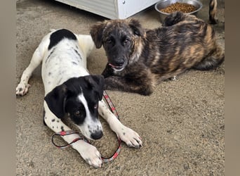 Melody: freut sich aufs Leben in Freiheit