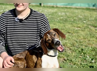 Mia - aussortiert - und niemand hat ihr je erklärt, warum