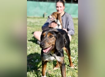 Gio - aussortiert - und immer noch bereit, jemandem ihr Herz zu verschenken