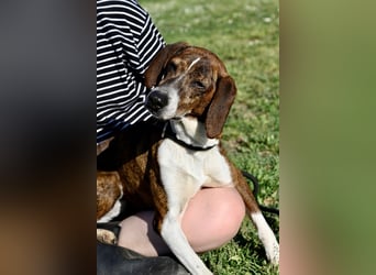 Mia - aussortiert - und niemand hat ihr je erklärt, warum