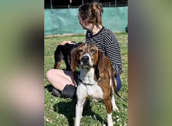 Mia - aussortiert - und niemand hat ihr je erklärt, warum