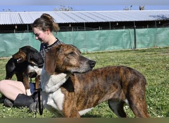 Mia - aussortiert - und niemand hat ihr je erklärt, warum