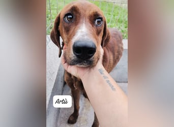 Artù – auf der Suche nach einem familiären Bildungsweg