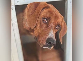 Artù – auf der Suche nach einem familiären Bildungsweg