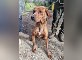 Artù – auf der Suche nach einem familiären Bildungsweg